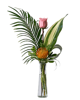 Island Rose
