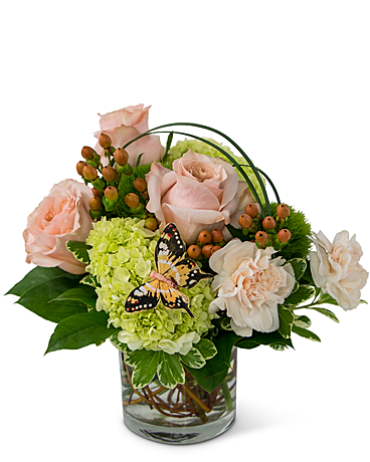 Expressions of Gratitude