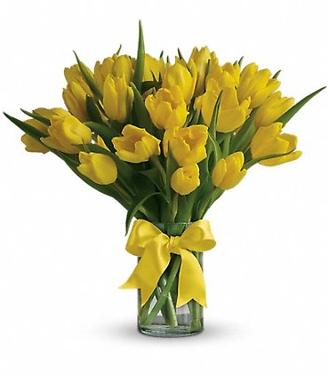 Sunny Yellow Tulips - T140-1