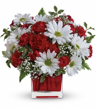 Red and White Delight