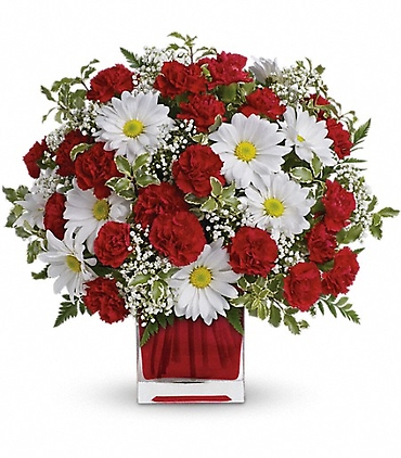 Red and White Delight