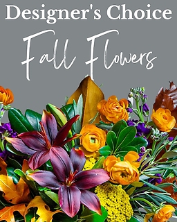Designers Choice - Fall