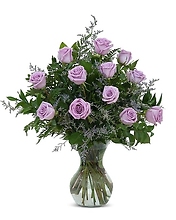 Lovely Lavender Roses