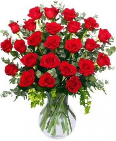 24 Radiant Roses - Red