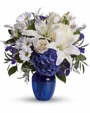 Beautiful in Blue - T209-3