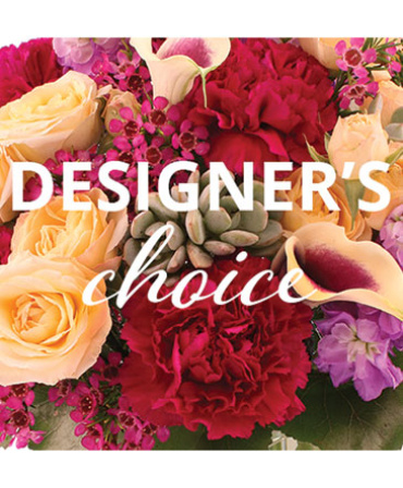 Designer\'s Choice - Store Sale