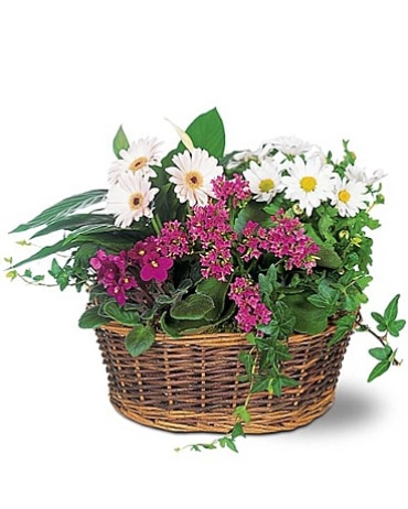 European Garden Basket