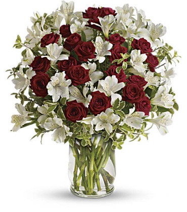 Endless Romance - TEV23-3