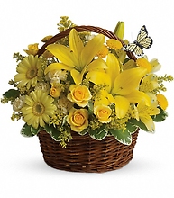Basket Full of Wishes - T27-2