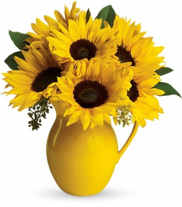 Sunny Day Pitcher of Sunflowers - T153-1
