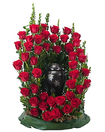 Royal Rose Surround