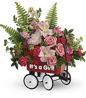 Baby\'s Welcome Wagon