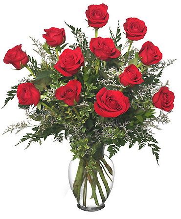 Classic Dozen Roses