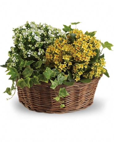 Basket of Joy 