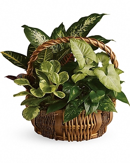Emerald Garden Basket - T106-1