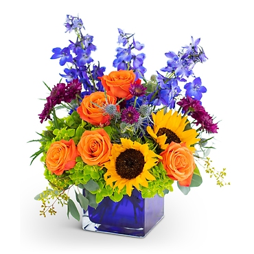 Season of Vibrance