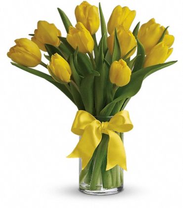 Sunny Yellow Tulips - T140-1