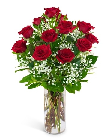 Dozen Red Roses & Million Stars