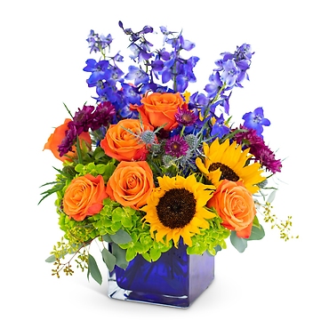 Season of Vibrance