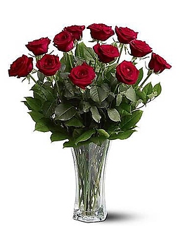 A Premium Dozen Red Roses - TF31-1