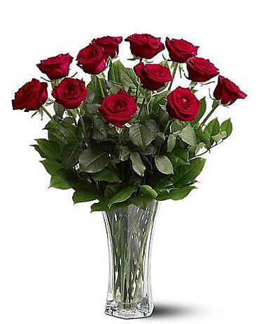 A Premium Dozen Red Roses