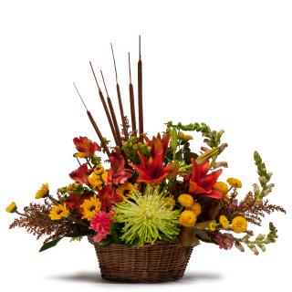 Abundant Basket - TMF13-243