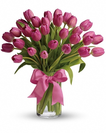 Precious Pink Tulips - T11Z106