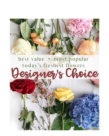 Designers Choice