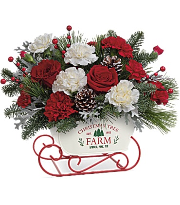 Sleigh Ride in the Snow