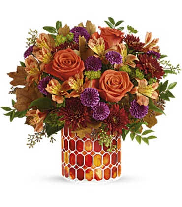 Autumn Radiance - T21T300