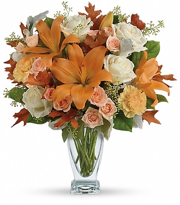 Seasonal Sophistication - TFL10-2